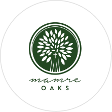 Mamre Oaks